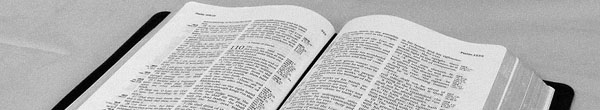 Open Bible